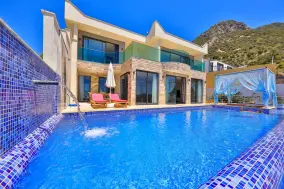 Pets Allowed Villas