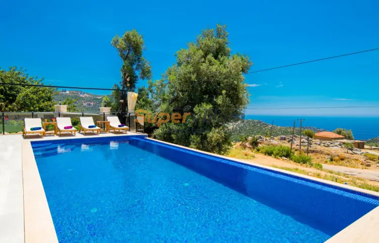villa-almeida-super-villam-11_852.jpeg